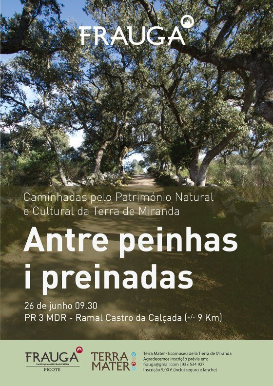 Antre peinhas i preinadas