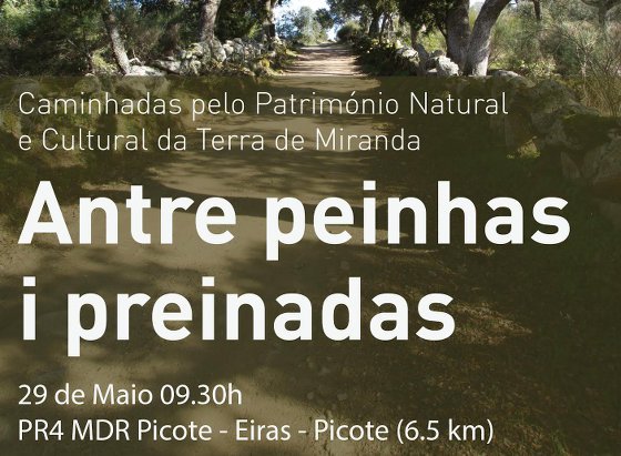 Antre peinhas i preinadas