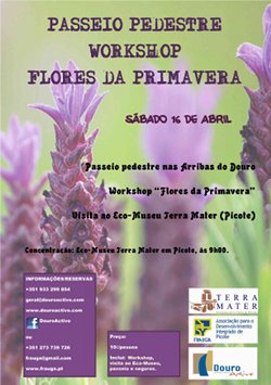 Passeio Pedestre e Workshop Flores da Primavera, em Picote (clique na imagem para poder ver o cartaz em tamanho maior)