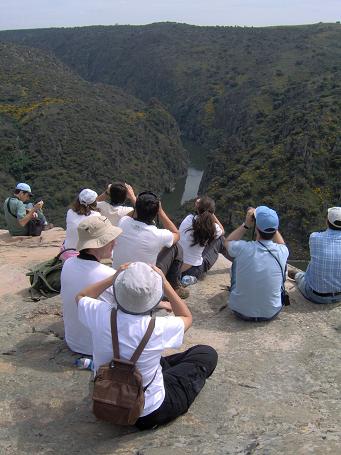 Observação de aves na Fraga do Puio, em Picote.